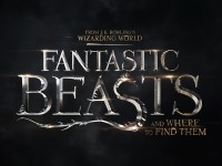 fantastic-beasts-and-where-to-find-them-large